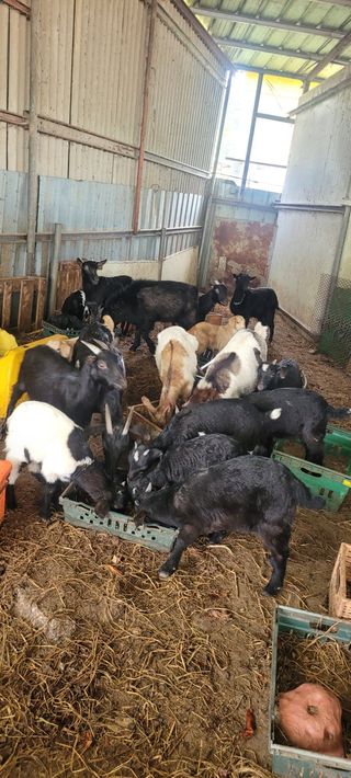 서해숙님의 자유주제 · 자유게시판 작성글 사진