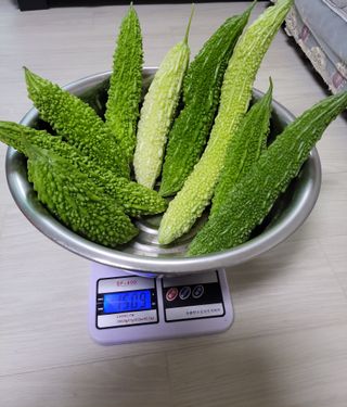 원빈님의 자유주제 · 자유게시판 작성글 사진