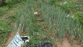 MSG0074님의 자유주제 · 자유게시판 작성글 사진