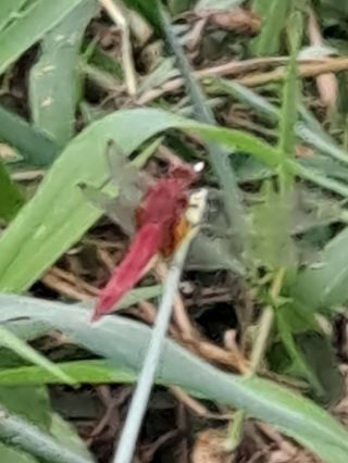 MSG0074님의 자유주제 · 자유게시판 작성글 사진