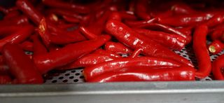 초보퍼머5도2촌준비님의 자유주제 · 자유게시판 작성글 사진