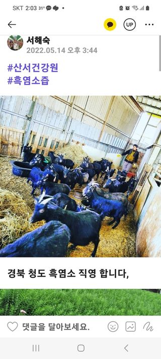 서해숙님의 자유주제 · 자유게시판 작성글 사진