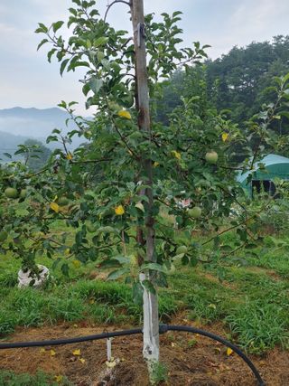 숲속의사나이님의 자유주제 · 자유게시판 작성글 사진