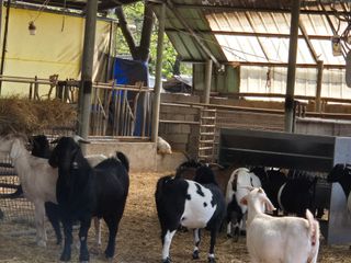 서해숙님의 자유주제 · 자유게시판 작성글 사진