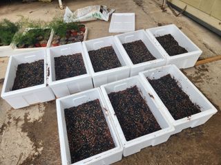 이창신님의 자유주제 · 자유게시판 작성글 사진