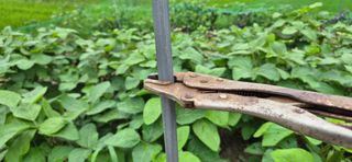 박인환 님의 자유주제 · 자유게시판 작성글 사진