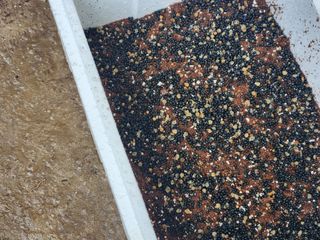 이창신님의 자유주제 · 자유게시판 작성글 사진