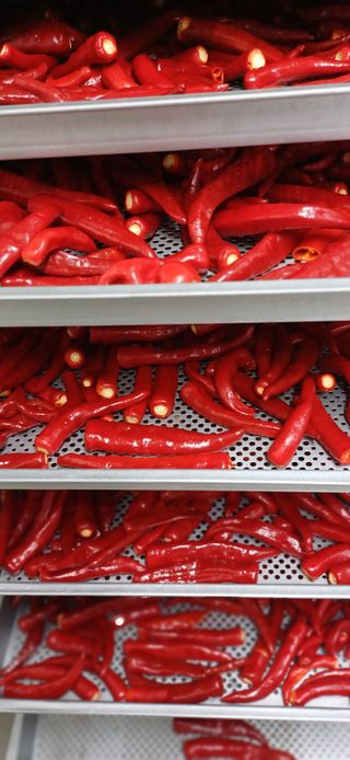 초보퍼머5도2촌준비님의 자유주제 · 자유게시판 작성글 사진