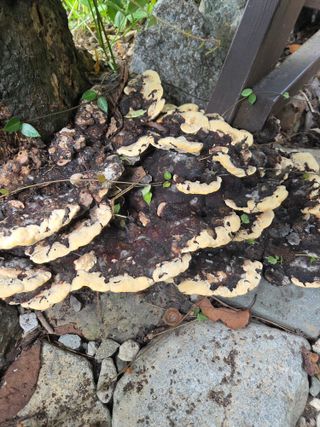 농촌사랑님의 자유주제 · 자유게시판 작성글 사진