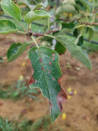 숲속의사나이님의 자유주제 · 자유게시판 작성글 사진