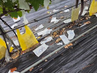 태일농산이정수님의 자유주제 · 자유게시판 작성글 사진