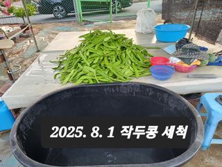 박성민님의 자유주제 · 자유게시판 작성글 사진