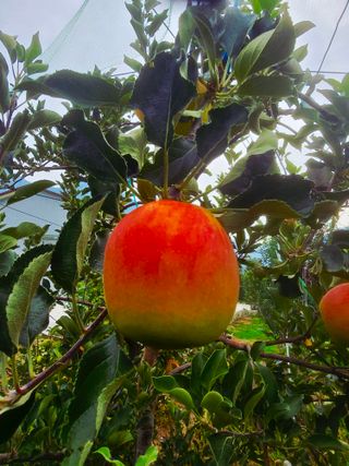 최동구님의 자유주제 · 자유게시판 작성글 사진