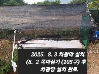 박성민님의 자유주제 · 자유게시판 작성글 사진