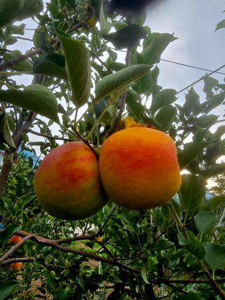 최동구님의 자유주제 · 자유게시판 작성글 사진