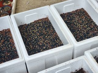 이창신님의 자유주제 · 자유게시판 작성글 사진