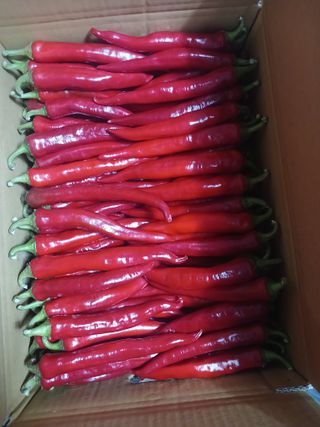 전국하님의 자유주제 · 자유게시판 작성글 사진