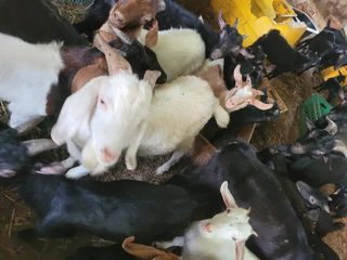 서해숙님의 자유주제 · 자유게시판 작성글 사진