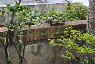 다범님의 자유주제 · 자유게시판 작성글 사진