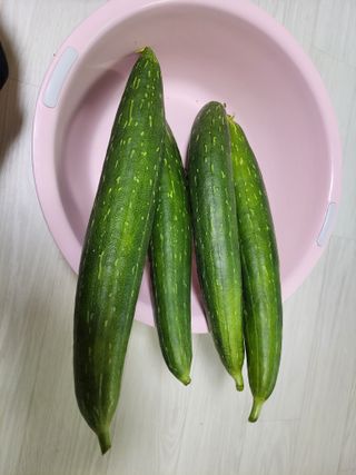 원빈님의 자유주제 · 자유게시판 작성글 사진