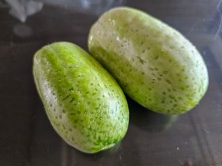 박소원님의 자유주제 · 자유게시판 작성글 사진