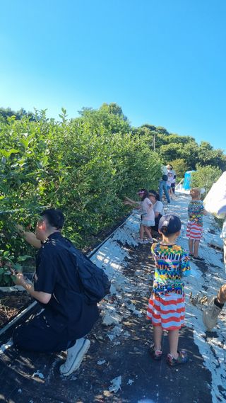김현숙 블루베리 작두콩님의 자유주제 · 자유게시판 작성글 사진