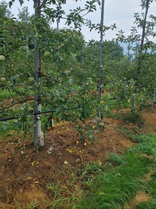 숲속의사나이님의 자유주제 · 자유게시판 작성글 사진