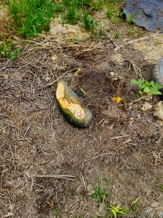 이무기님의 자유주제 · 사진전 작성글 사진