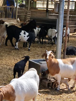 서해숙님의 자유주제 · 자유게시판 작성글 사진