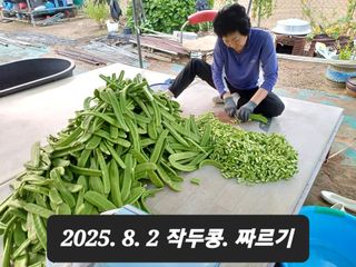 박성민님의 자유주제 · 자유게시판 작성글 사진