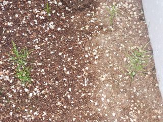 이창신님의 자유주제 · 자유게시판 작성글 사진