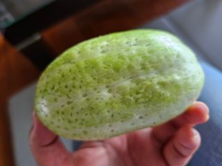 박소원님의 자유주제 · 자유게시판 작성글 사진