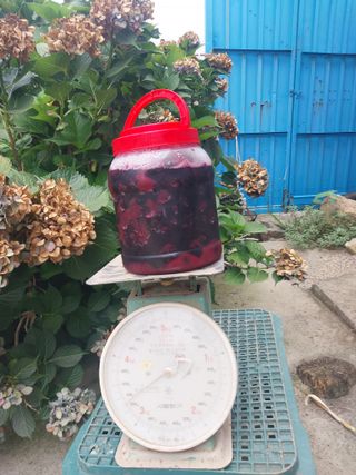 김효동님의 작성글 사진