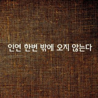 (팽나무*공주)님의 자유주제 · 자유게시판 작성글 사진