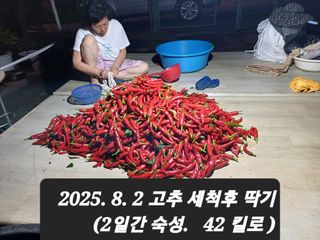 박성민님의 자유주제 · 자유게시판 작성글 사진