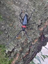 팜모닝 자유주제·자유게시판 게시글 이미지