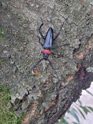 최동수님의 자유주제 · 자유게시판 작성글 사진