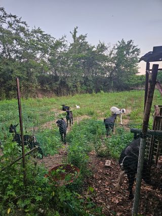 전법님의 자유주제 · 자유게시판 작성글 사진