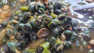 여우내 이순홍님의 자유주제 · 자유게시판 작성글 사진