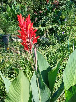 금돌비학님의 자유주제 · 자유게시판 작성글 사진