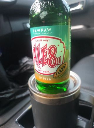 포포나무학교한치원님의 자유주제 · 자유게시판 작성글 사진