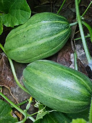 휘성님의 자유주제 · 자유게시판 작성글 사진