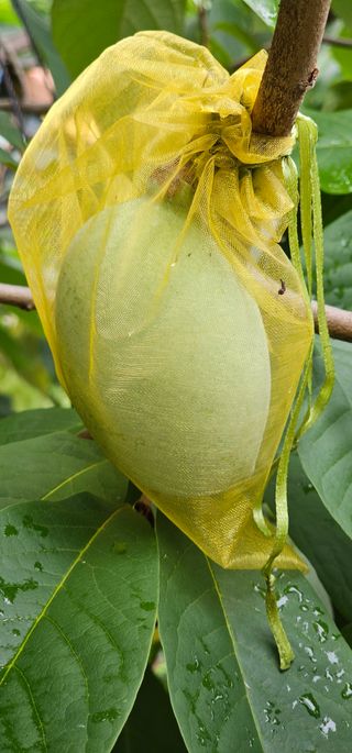 포포나무학교한치원님의 자유주제 · 자유게시판 작성글 사진