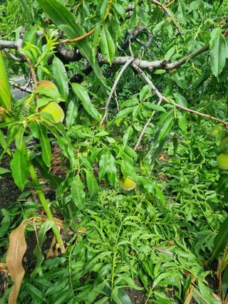 김용대님의 자유주제 · 자유게시판 작성글 사진