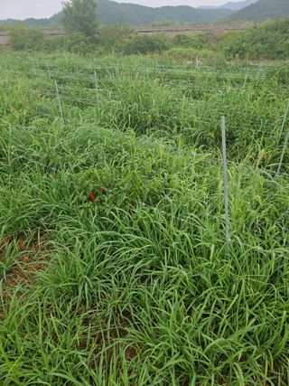 정재남님의 자유주제 · 자유게시판 작성글 사진