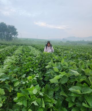 황소4님의 자유주제 · 사진전 작성글 사진