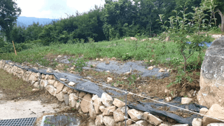 농부아내님의 자유주제 · 자유게시판 작성글 사진