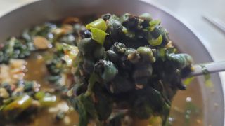 여우내 이순홍님의 자유주제 · 자유게시판 작성글 사진