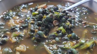 여우내 이순홍님의 자유주제 · 자유게시판 작성글 사진