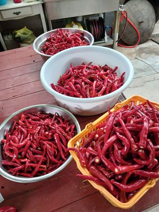 이영자 님의 자유주제 · 자유게시판 작성글 사진